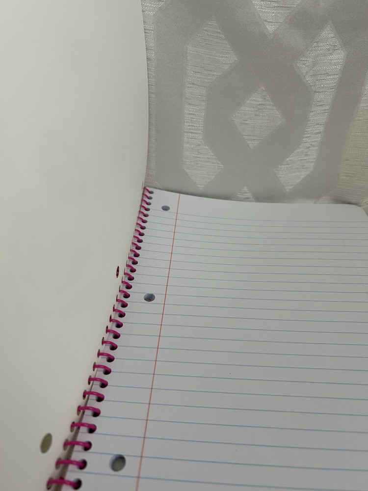 Vintage Lisa Frank Spiral Notebook