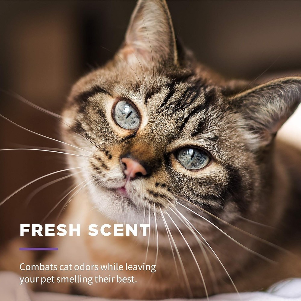Multi-Purpose Cat Grooming Wipes - 50 Count for Quick Freshness and Odor Control