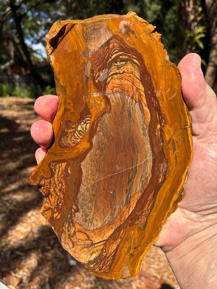 BIGGS JASPER SLAB  GREAT SIZE AND PATTERNS 316.5g GOOD OLD STUFF