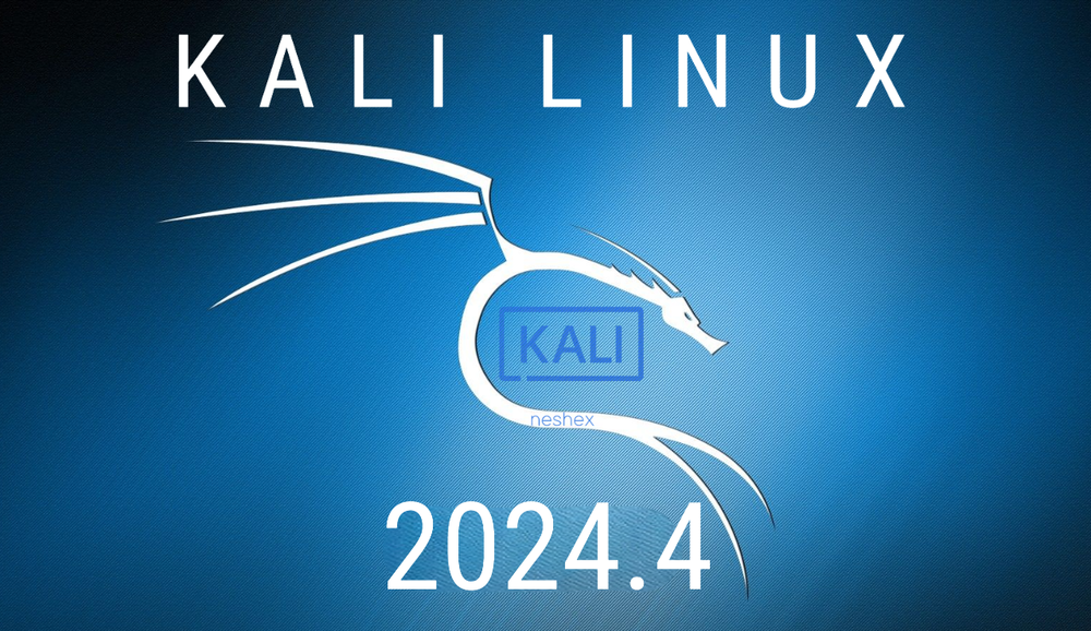 Kali Linux 2024.4 Bootable USB Flash Drive