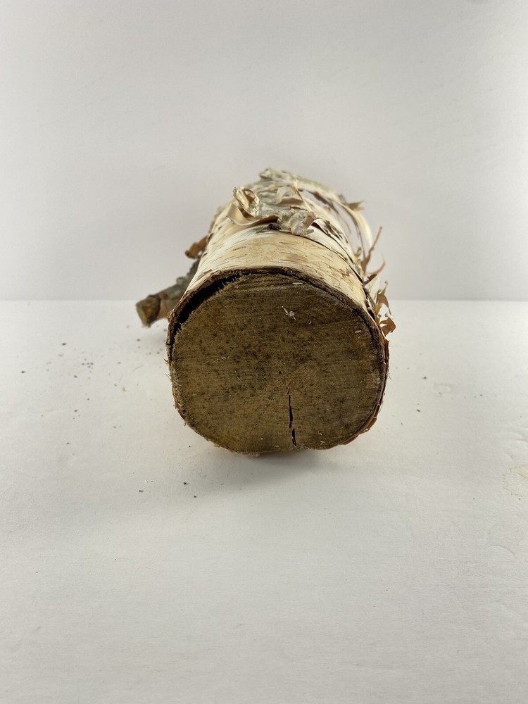 Birch Log For Crafts Projects Decorations Fireplace Carpentry Natural Wood Piece