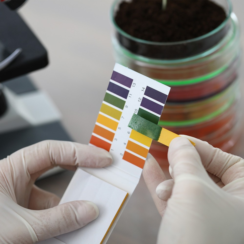 PH Test Strips 3.8-5.4.2pcs 80 Indicator Maps Sunflower Tester