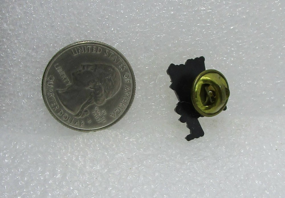 Where Your Treasure Is Plastic Pin