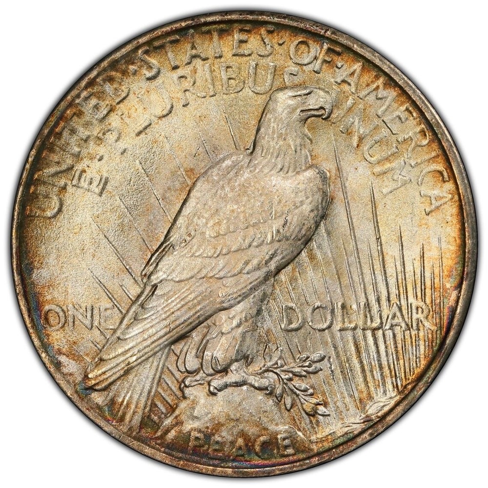 1925 PCGS/MS64 Monster Toned Peace Dollar