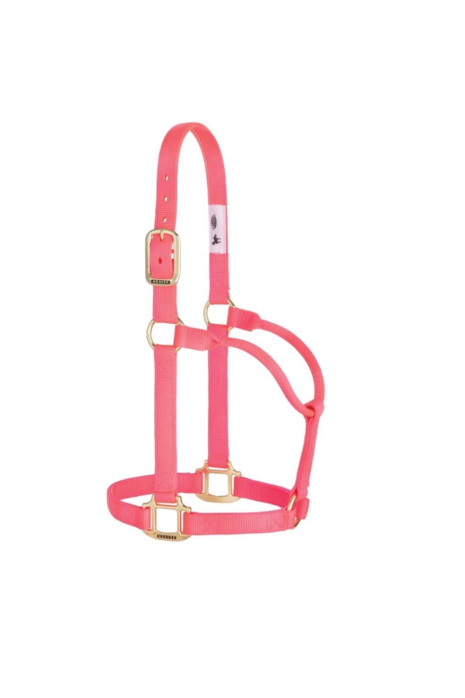 Original Non-Adjustable Halter , 1" Pink
