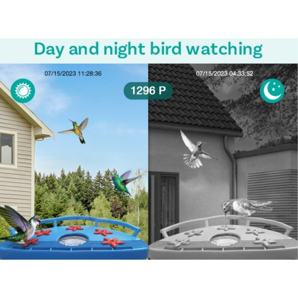 BirdDock Smart Solar Powered Bird Feeder with Camera (Reg.$210)