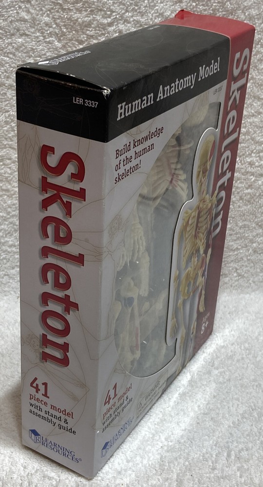 Learning Resources Skeleton Model For Children**New**