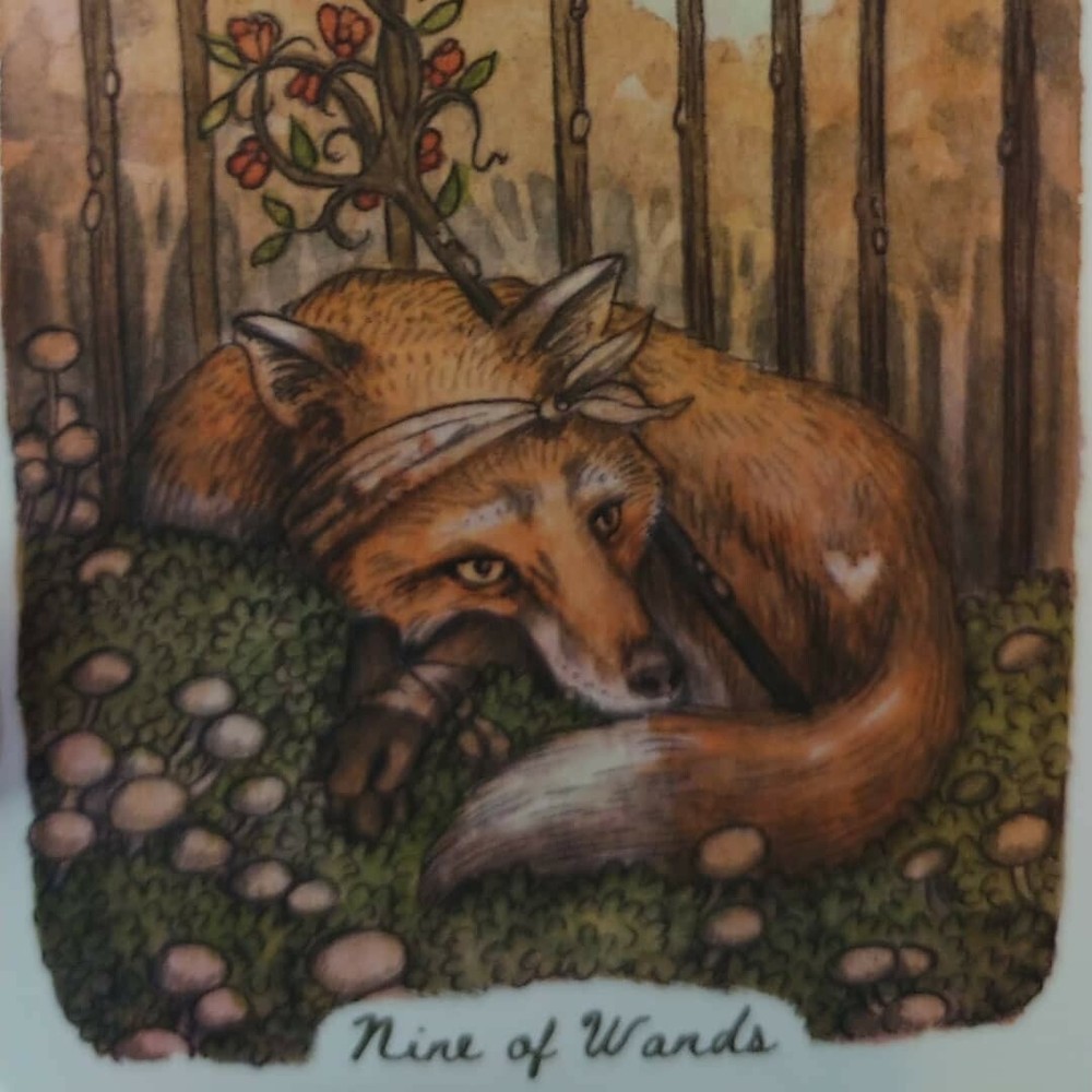 3 Card, one question intuitive tarot or oracle card reading.