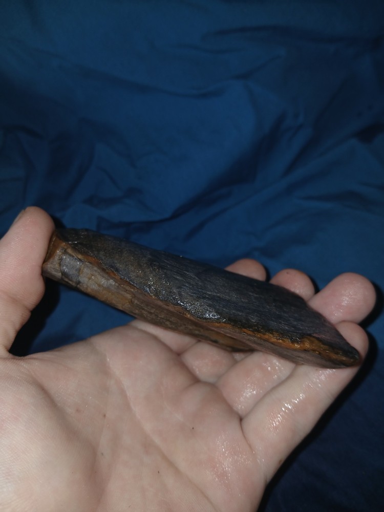 6.7 oz Agatized Petrified Wood