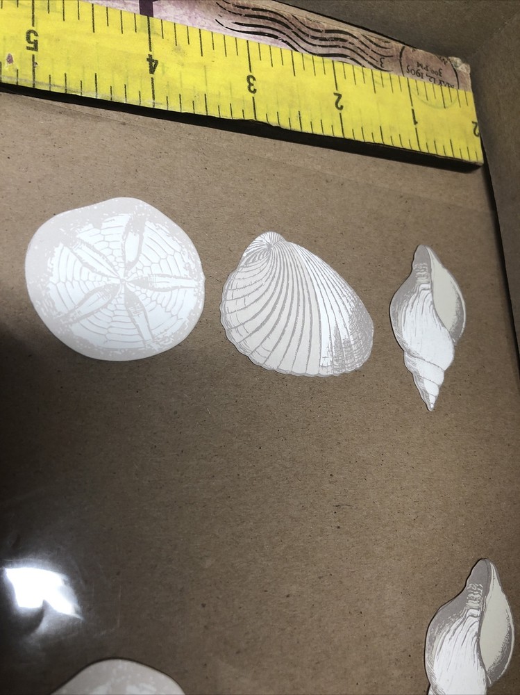 EMBELLISHMENTS-SAND DOLLARS & SHELLS- DIMENSIONAL -6PC SET