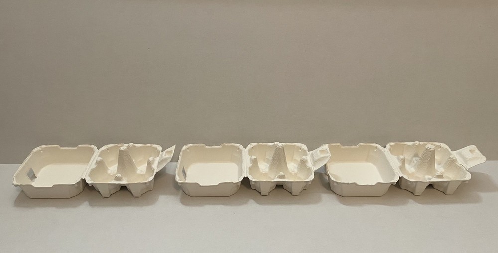 4 Count Paper Pulp Egg Carton (3 pack)