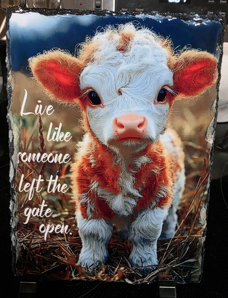 Baby Cow Photo Slate