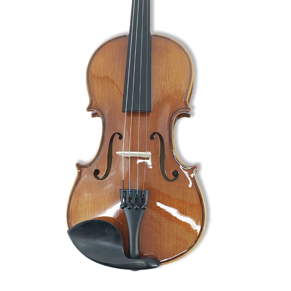 4 String 4/4 Violin Solid Wood Ebony Fittings Accessory Professional Lerners