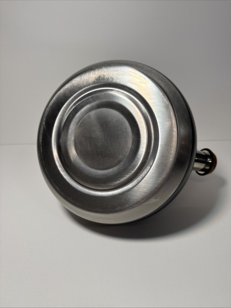 GGC Tea Kettle for Stove Top, 3.1 Quart 3L Heavy Stainless Steel