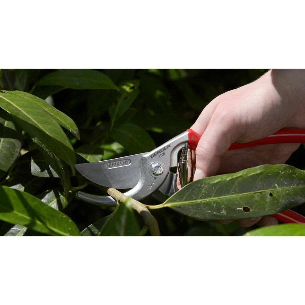 10 In. Pruning Hand Shear