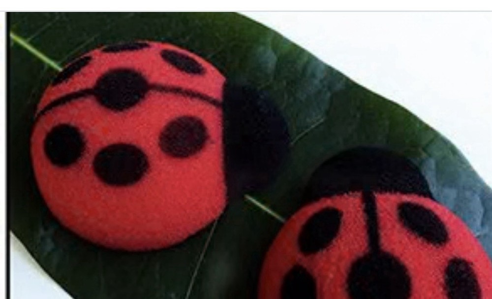 Sponge Lady Bug By Alan Wind - Rare