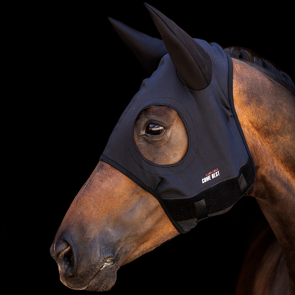 Titanium Mask Come Best With Ears