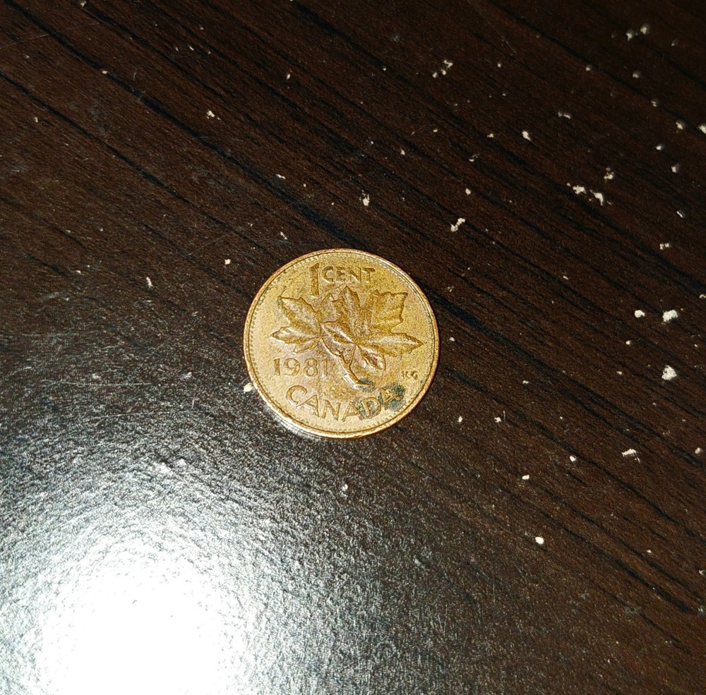 1981 Canadian One Cent Circulated and Uncertified