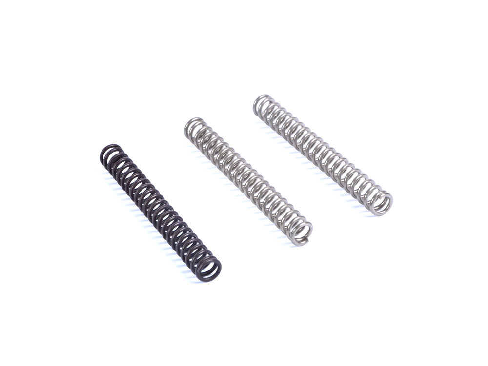 Prodigy MainSpring/Hammer Spring Kit - ISMI