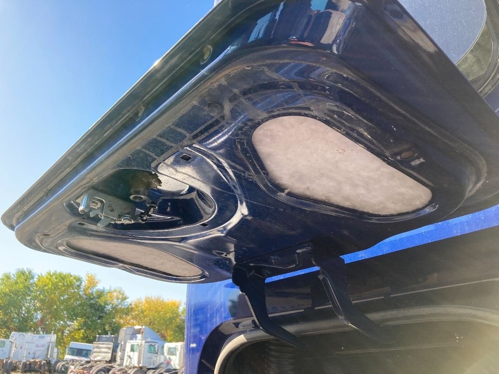 International PROSTAR Right/Passenger Sleeper Door - Used