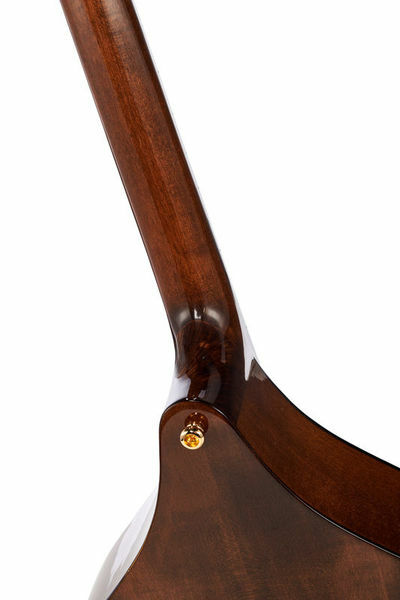 Concert Irish Bouzouki + Hard Case
