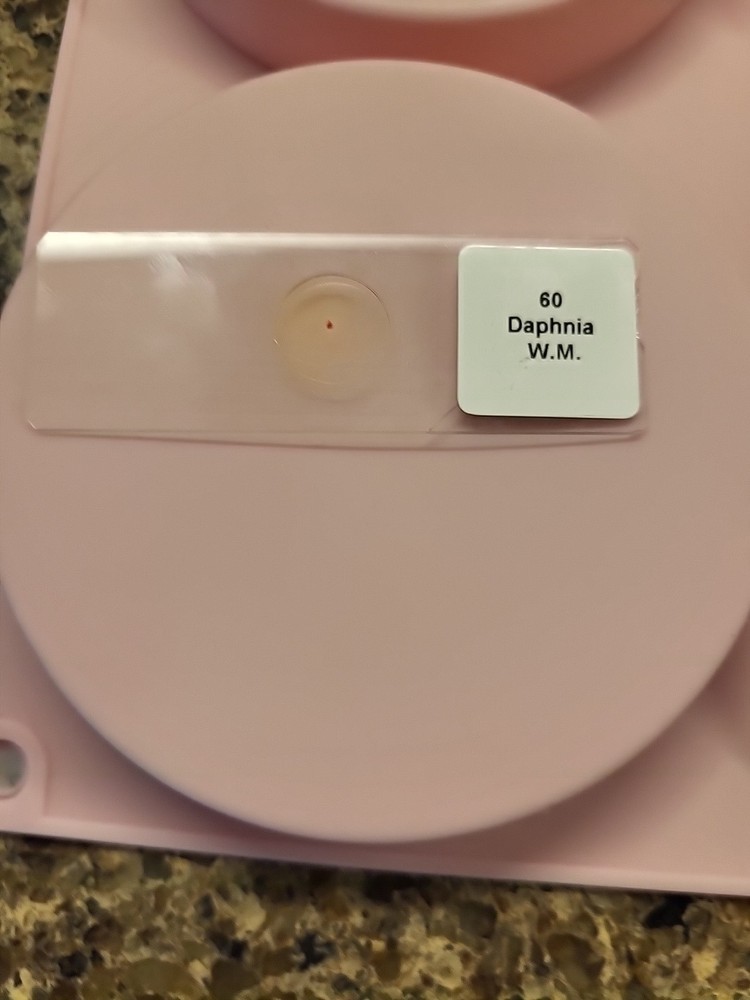 Biological Specimen 108 x Microscope Slides Laboratory Kit Educational READ