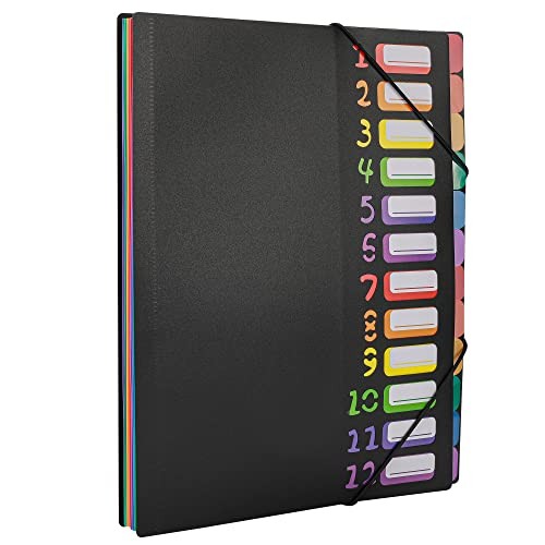 Edufun Rainbow Tab Expanding File Folder - 24 Pockets, (Black)
