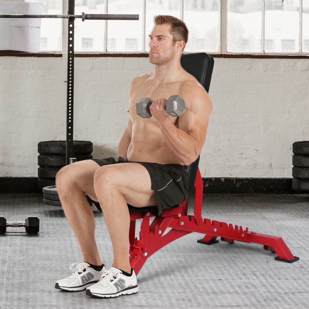 Workout Bench Adjustable Strength Training Bench Exercise Bench for Home Gym