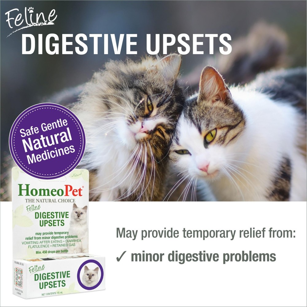Natural Cat Digestive Support for Upsets - 15ml Safe Solution
