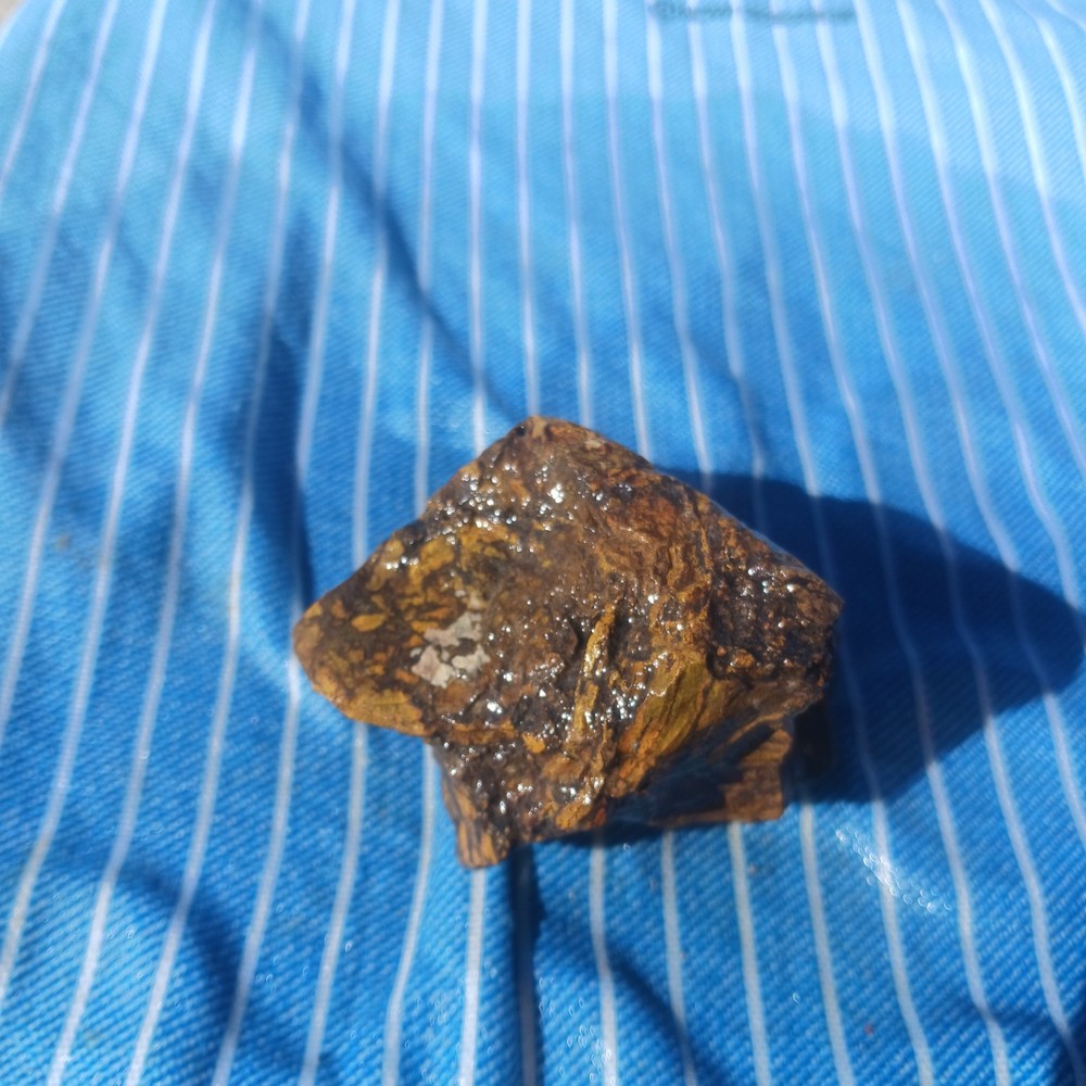 Jasper Rough Specimen Display Lapidary Potential