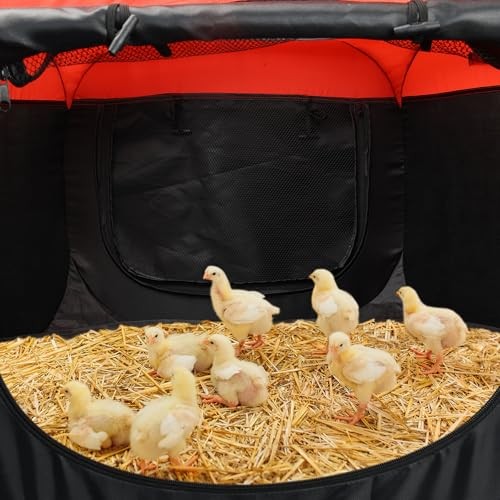 2025 Upgraded Large Brooder Box for Chick Starter Kit, Chicken Brooder Box