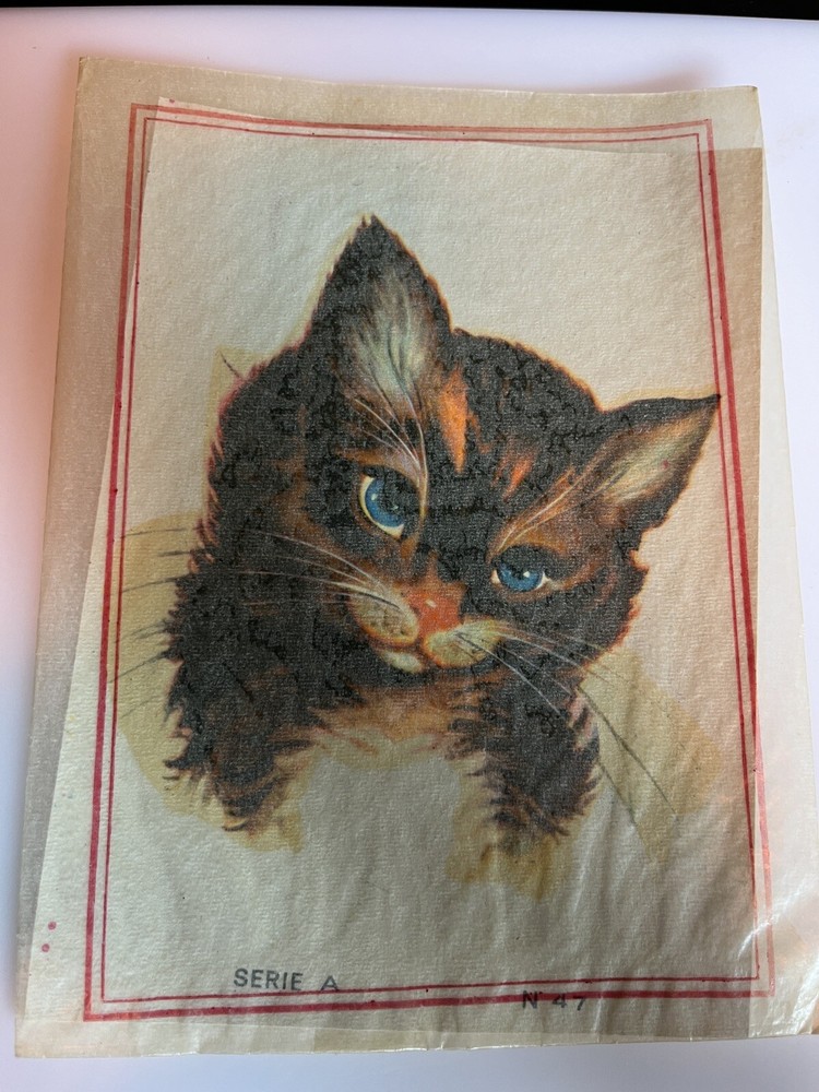 Vintage Water Slide Decals Cat