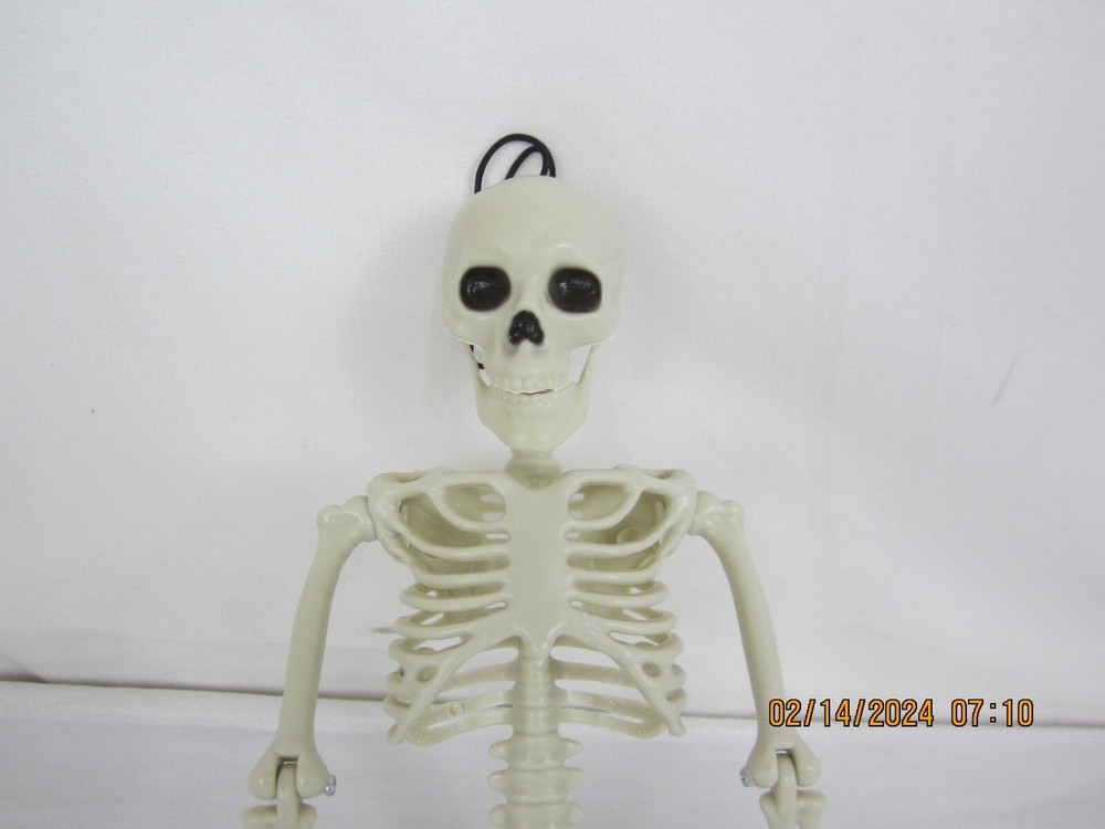 Halloween 14" Hanging Posable Skeleton