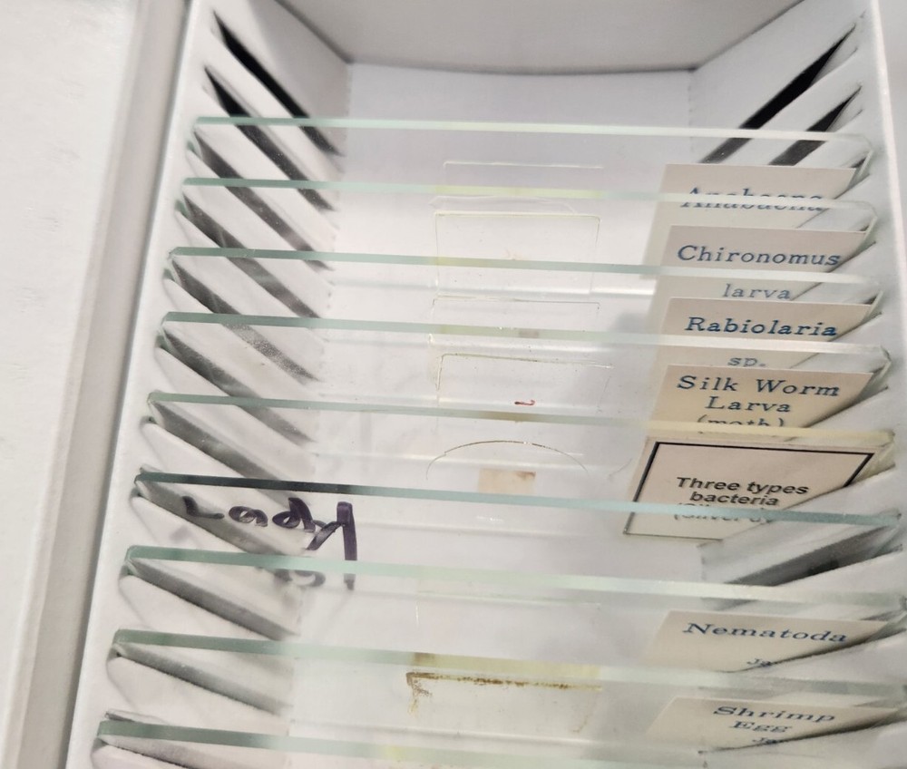 Microscope Glass Slides Edu Science Biology