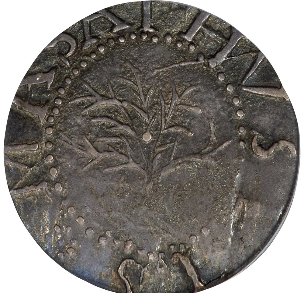 1652 OAK TREE 6PENCE PCGS MS 62