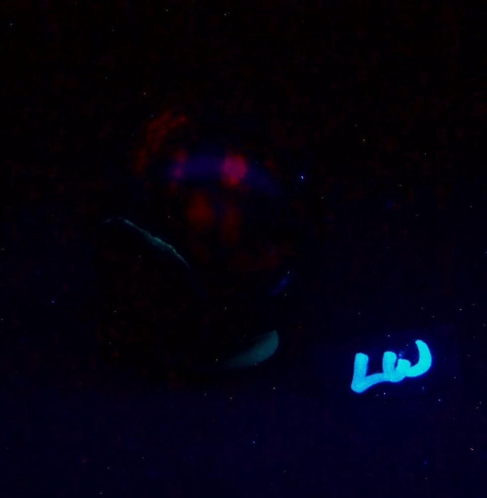 Fluorescent Ruby in Zoisite 64mm Sphere Collection Metaphysical or Decor 5198