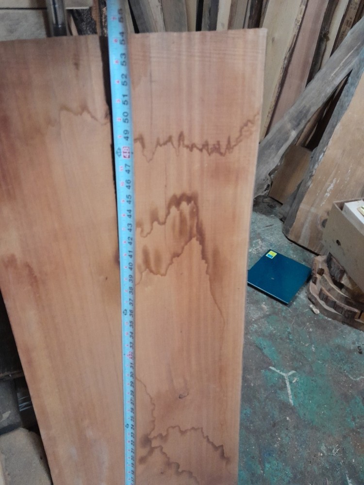 Palm Tree Live Edge Slab