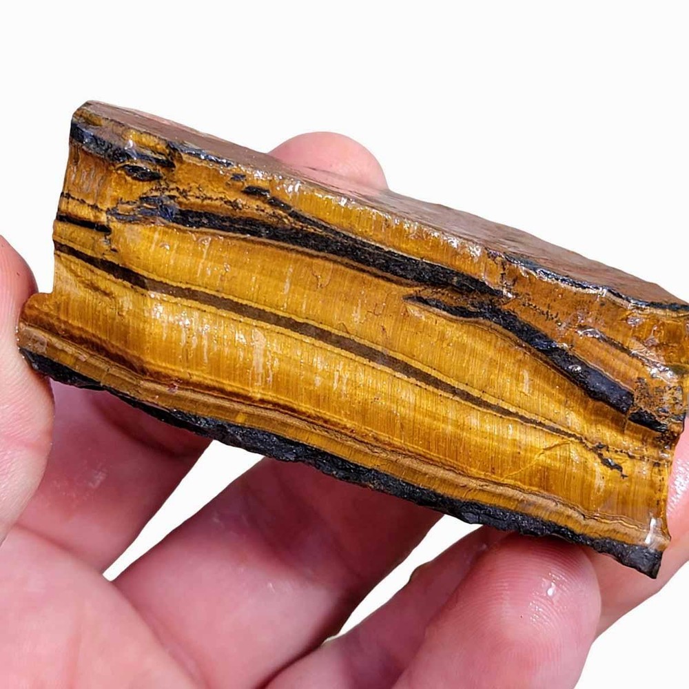 Random Pull Golden Tiger's Eye Rough! Chatoyant Display!