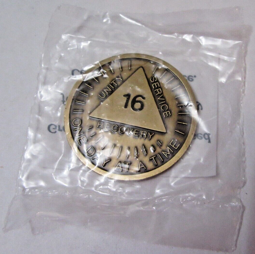 Alcoholics Anonymous AA 16 Year Sunshine Bronze Medallion Token Chip Sober