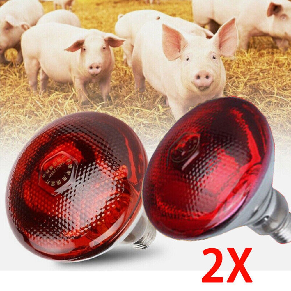 Brooder RUBY RED BULB Poultry HEAT Lambs Livestock 2PCS 250W INFRA Chick LAMP ^╏