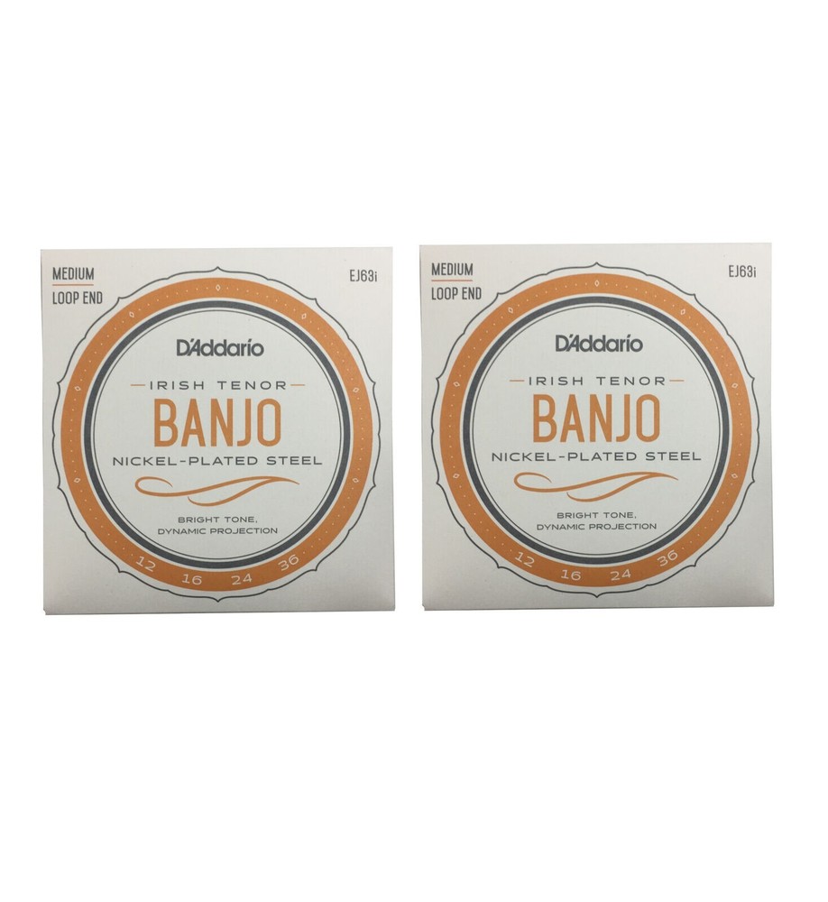 D'Addario Irish Tenor Banjo Strings 2 Sets EJ63i Medium Loop End