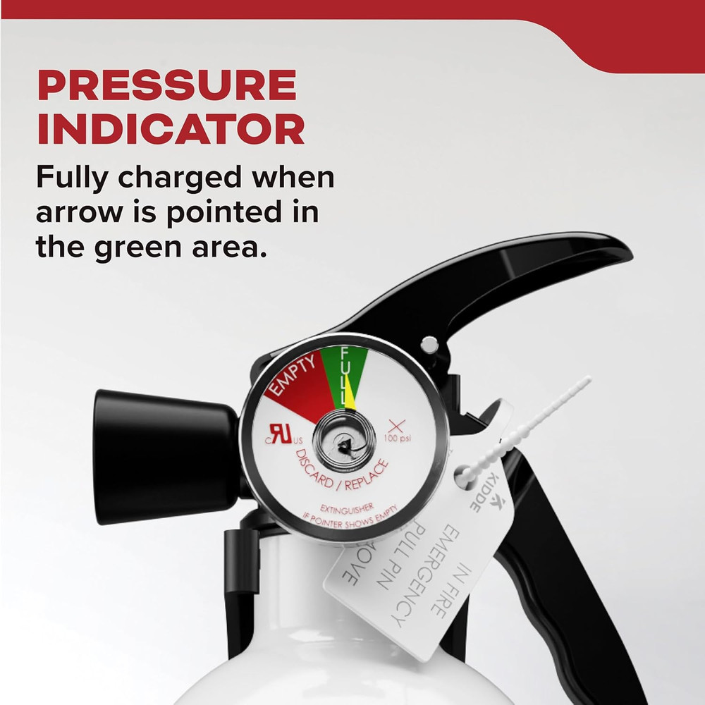 Fire Extinguisher for Kitchen, Residential, Single-Use, 711A