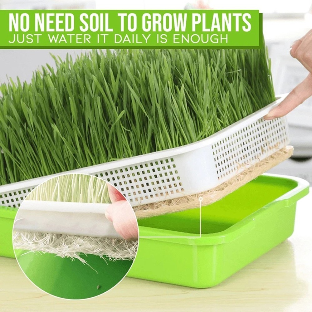 Sprouting Tray for Microgreens with Two Layer Mesh Design and Plastic Material