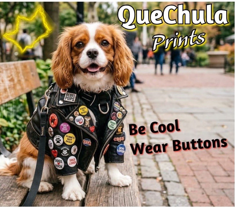 No Ice Protest Hat Pin Badge 1” 6pcs