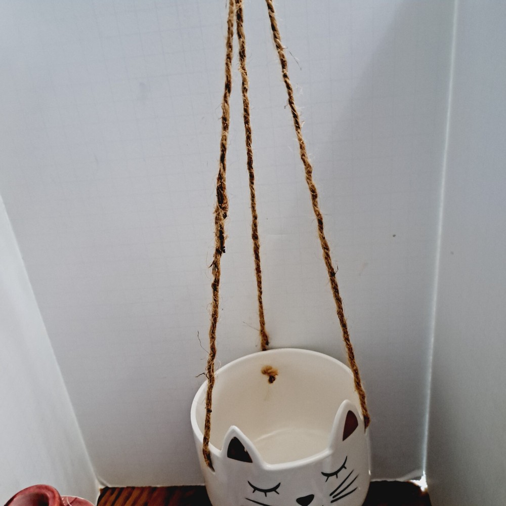 Hanging Cat Planter Ceramic 4 3/4'' Diameter