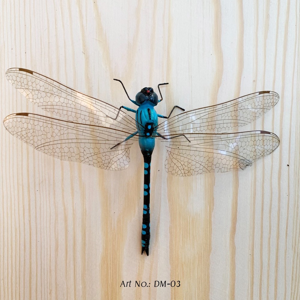 Dragonflies with Magnets