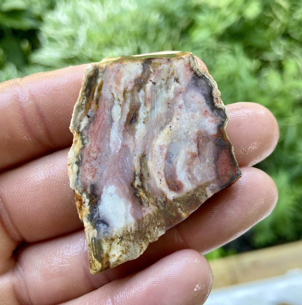 Mozarkite Chert Old Stock Slab