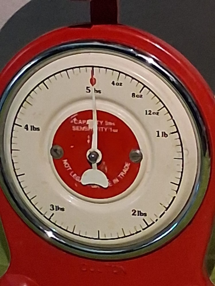 Dulton Vintage Stainless Steel Kitchen Scale