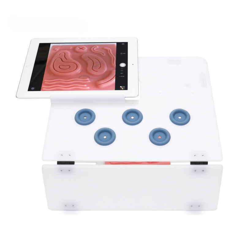 Laparoscopy Surgery Training Simulator Box Surgical Practice Trainer New US