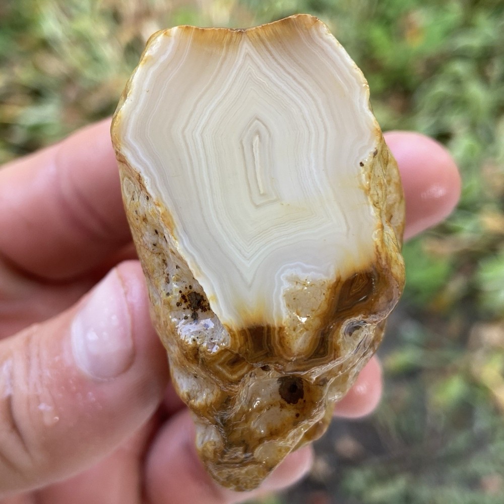 Custard Banded Agate Rough 5.55 Oz